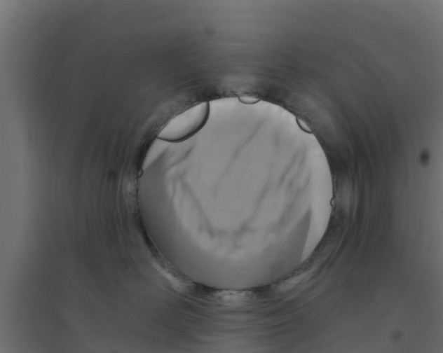 X0000094170526200711241533