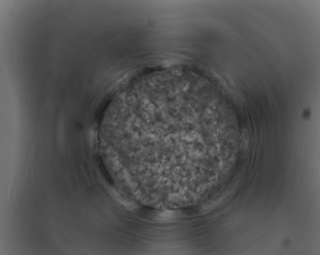 X0000094170527200711241533