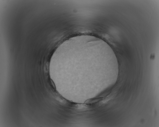 X0000094170528200711241533