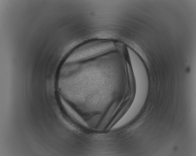 X0000094170530200711241532
