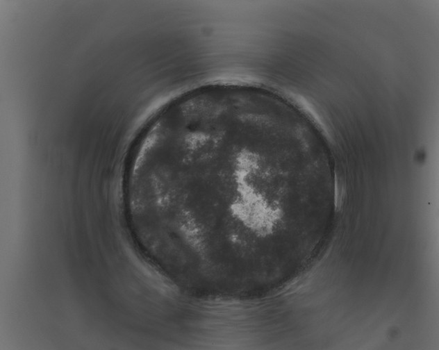 X0000094170531200711241532