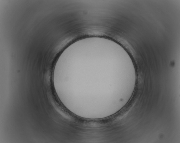 X0000094170533200711241532