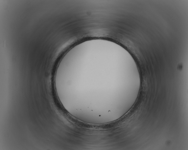 X0000094170535200711241532
