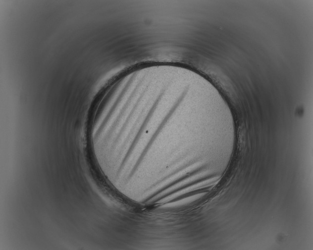 X0000094170536200711241532