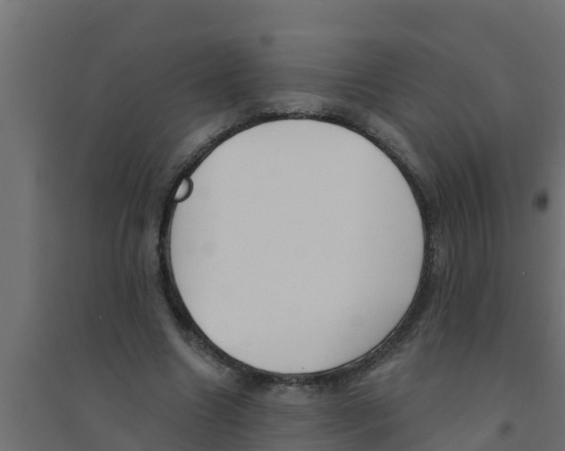 X0000094170538200711241532