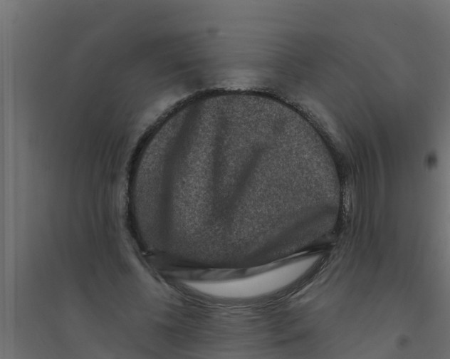 X0000094170540200711241532