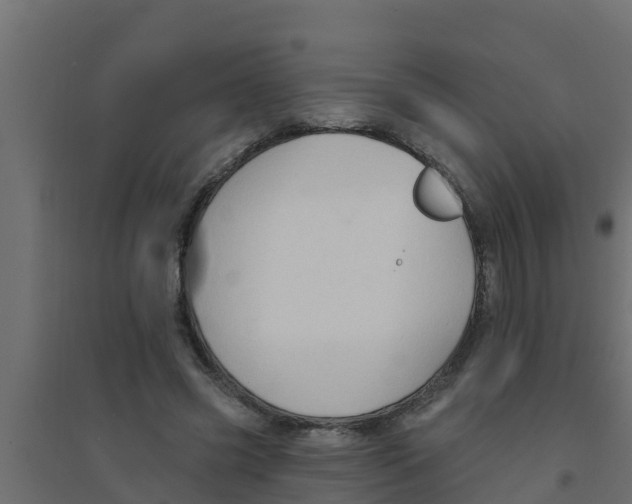 X0000094170541200711241532
