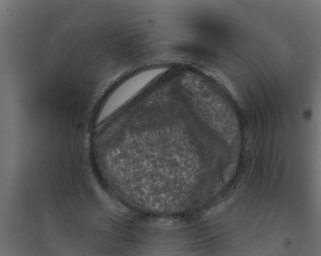 X0000094170542200711241532