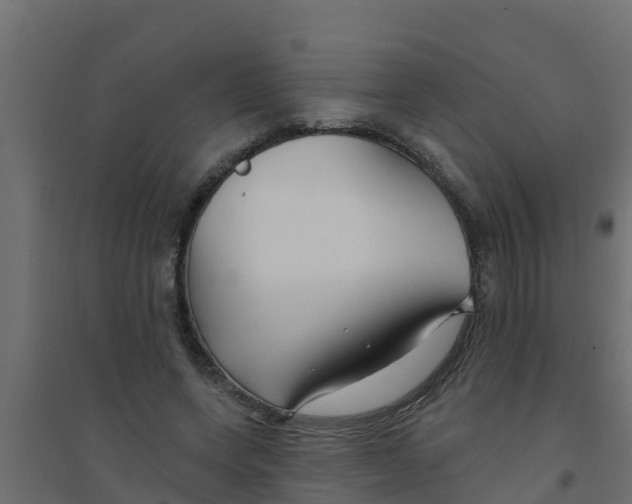 X0000094170543200711241532