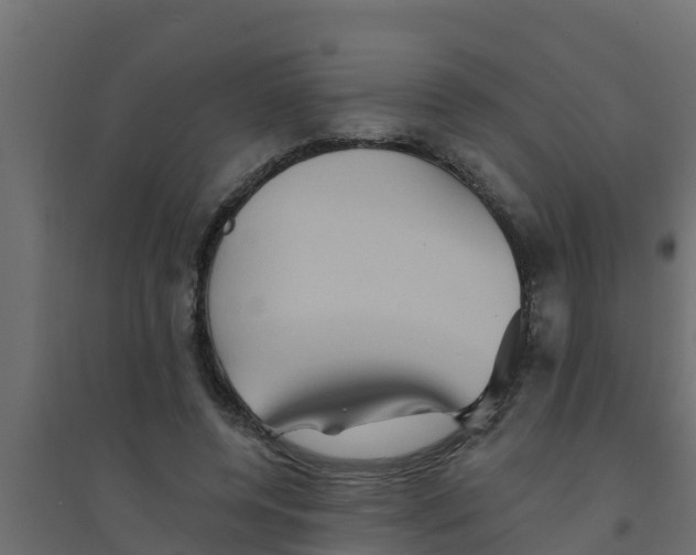 X0000094170544200711241532
