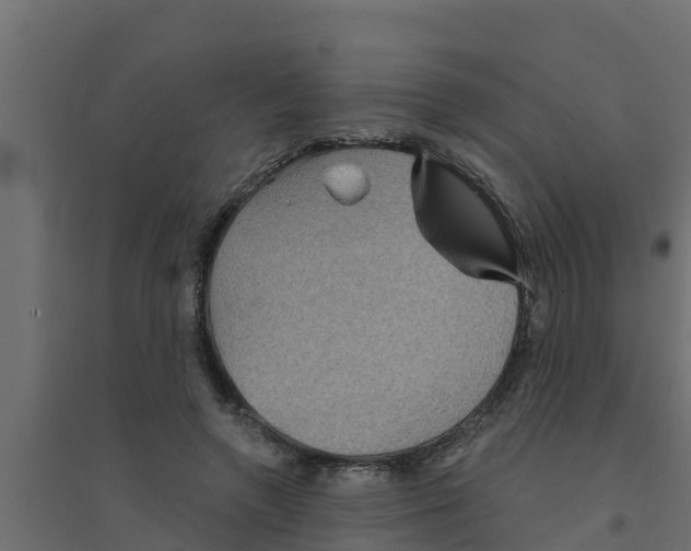 X0000094170546200711241532