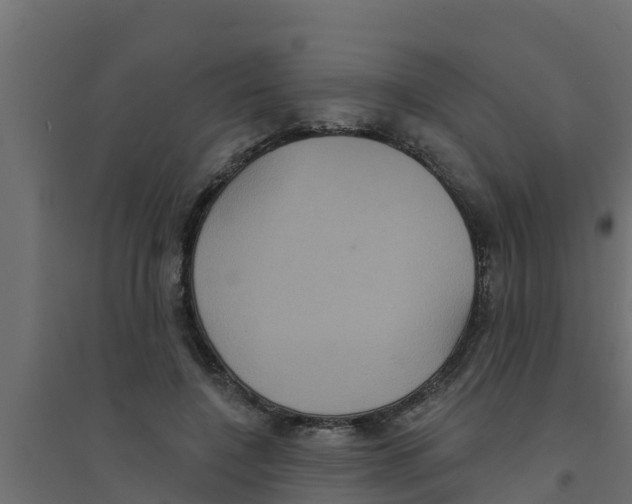 X0000094170548200711241532