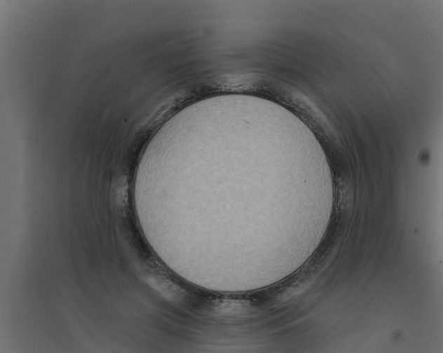 X0000094170549200711241532