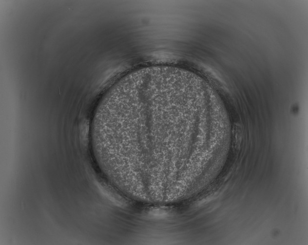X0000094170550200711241532
