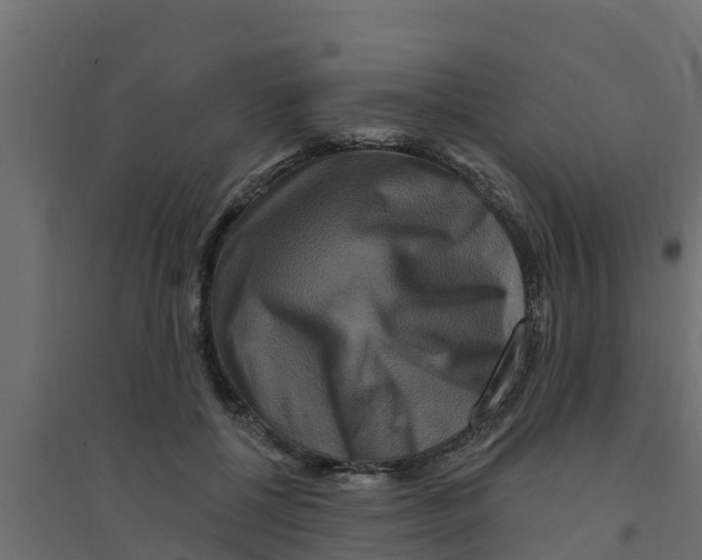 X0000094170552200711241532