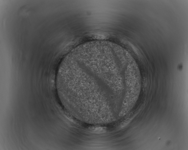 X0000094170553200711241532
