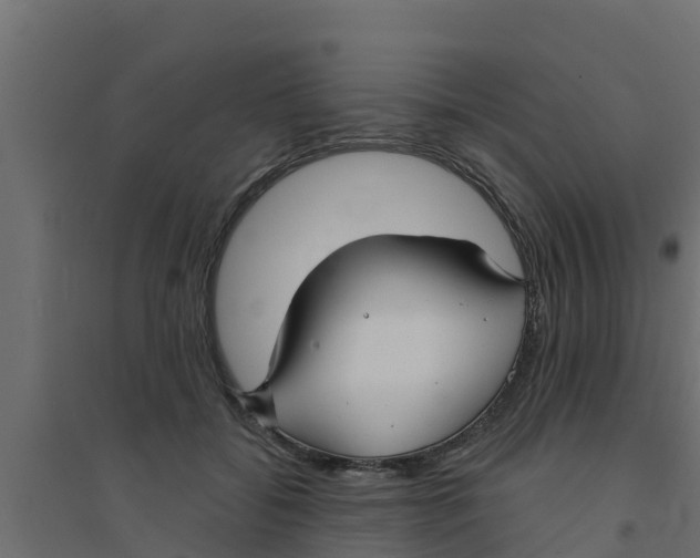 X0000094170556200711241532