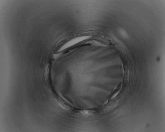 X0000094170558200711241532