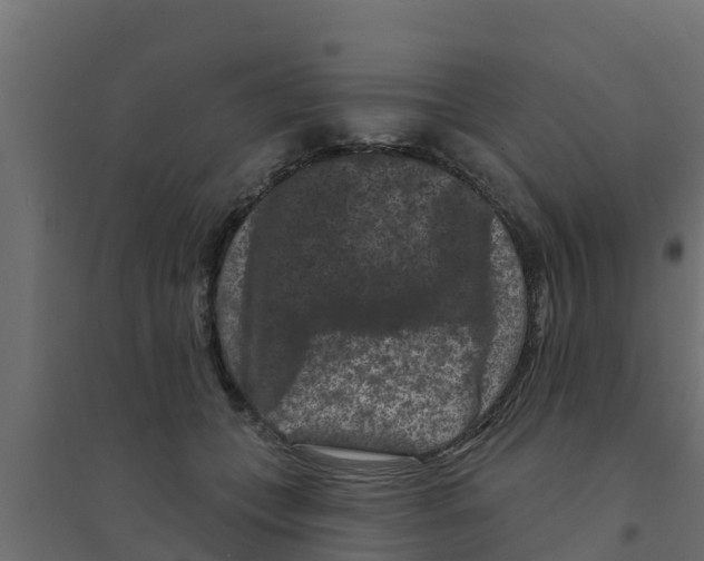 X0000094170559200711241532