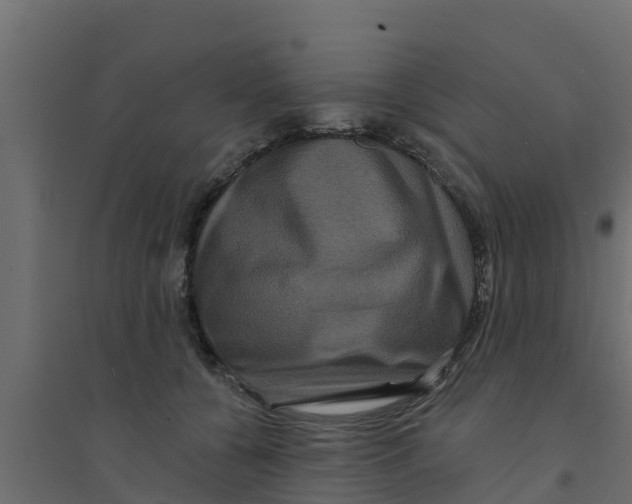 X0000094170560200711241532