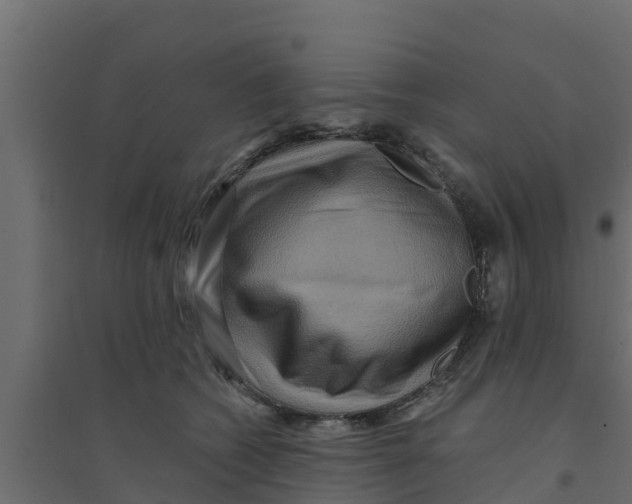 X0000094170562200711241532