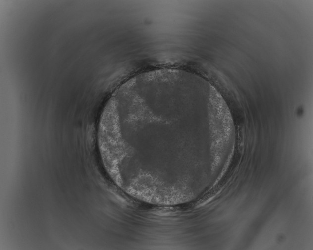 X0000094170563200711241532