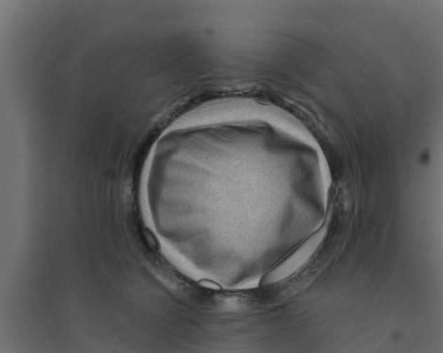 X0000094170564200711241532
