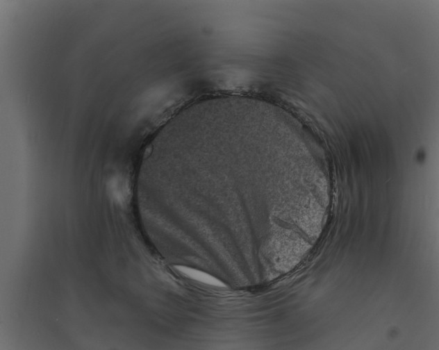 X0000094170566200711241532