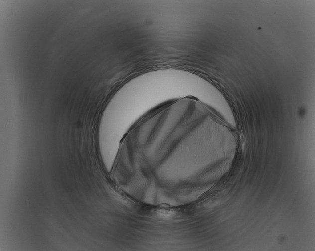 X0000094170570200711241533