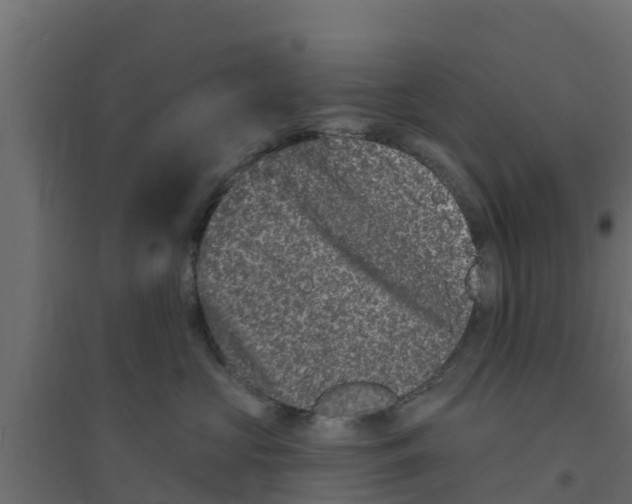 X0000094170573200711241533
