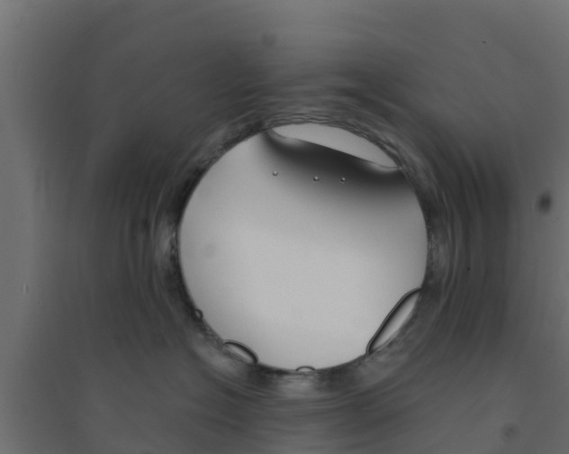 X0000094170574200711241533