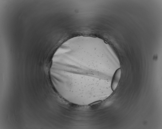 X0000094170576200711241533