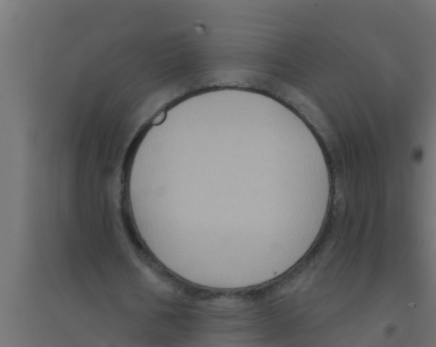 X0000094170578200711241532
