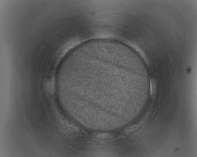X0000094170579200711241532