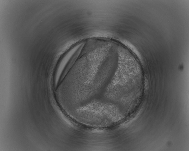 X0000094170581200711241532