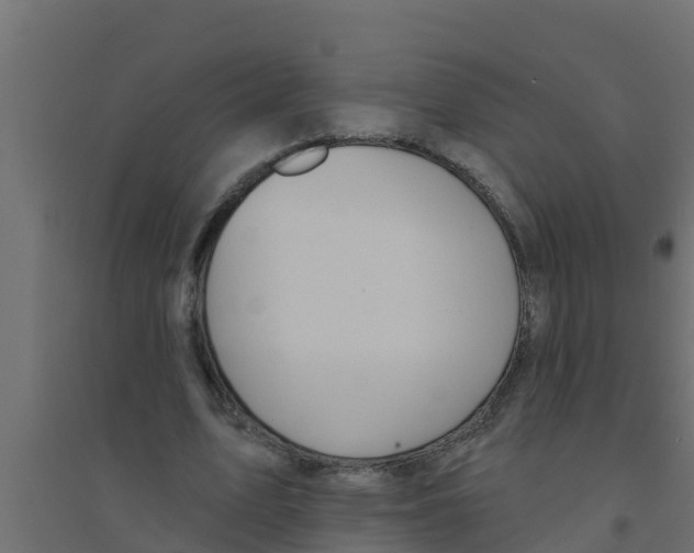 X0000094170583200711241532