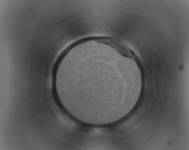X0000094170584200711241532