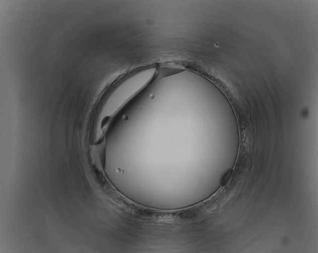 X0000094170587200711241532