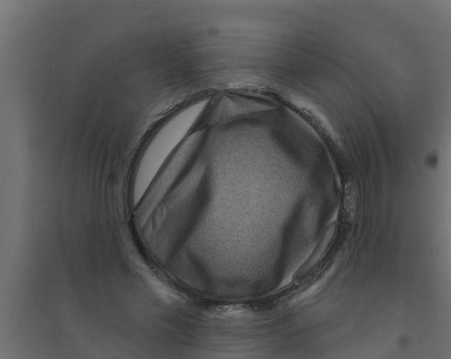 X0000094170589200711241532