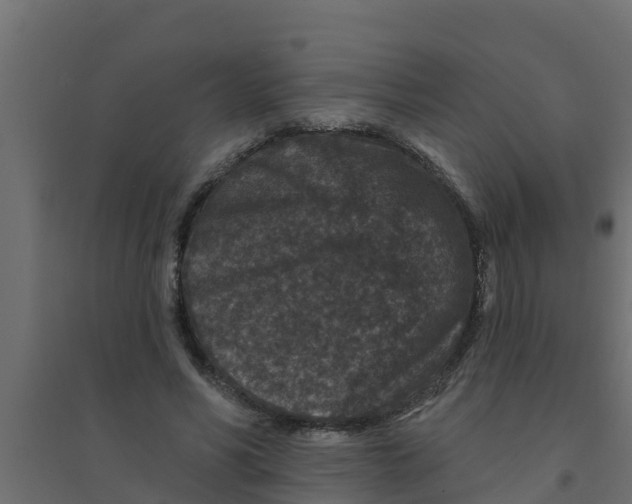 X0000094170590200711241532