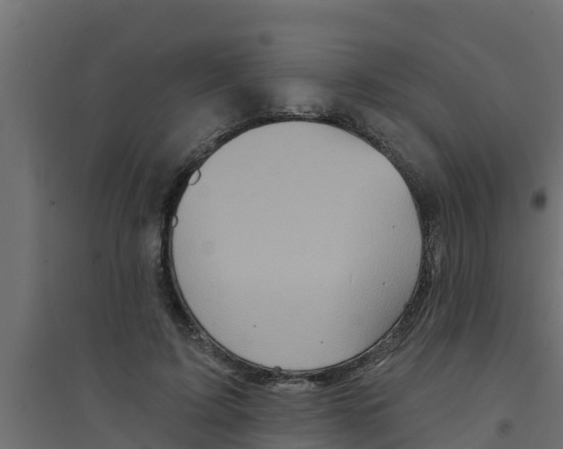 X0000094170595200711241532