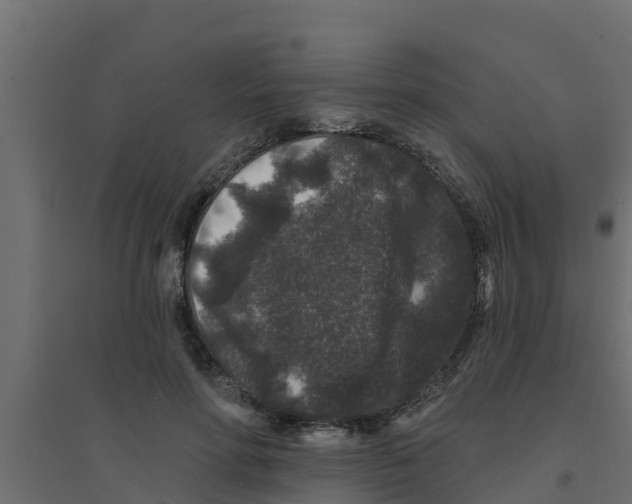 X0000094170598200711241532