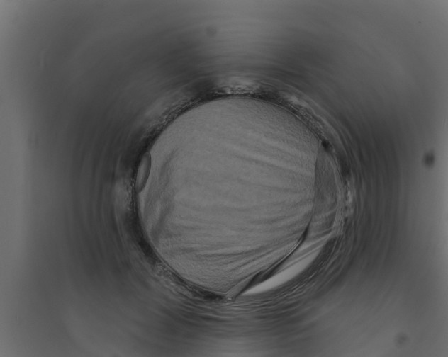 X0000094170604200711241532