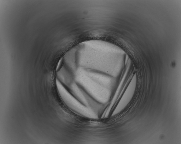 X0000094170605200711241532