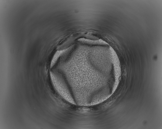 X0000094170607200711241532