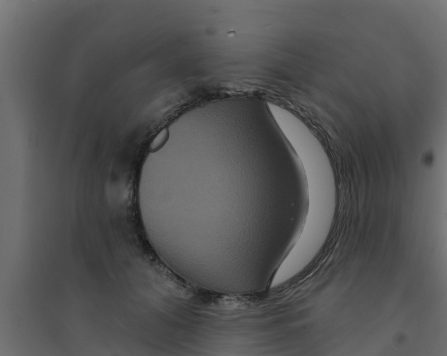 X0000094170608200711241532