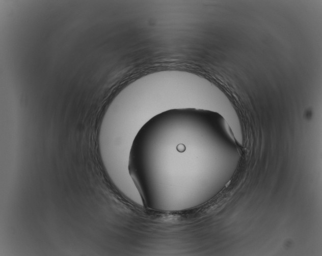 X0000094170609200711241532