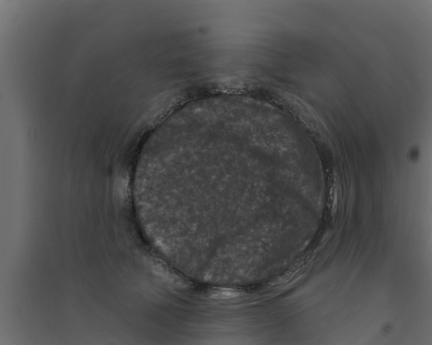 X0000094170610200711241531