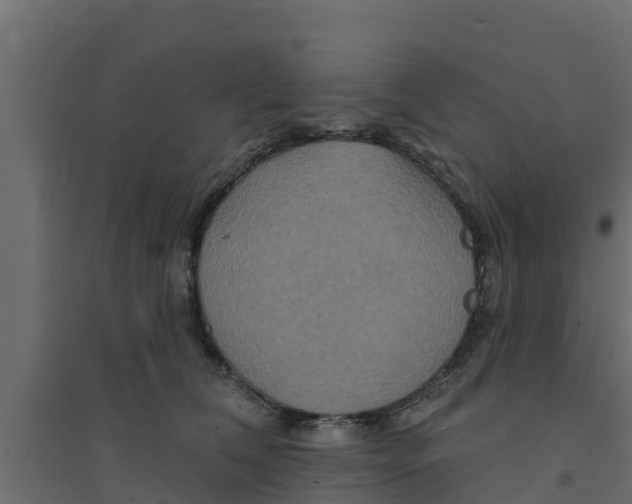 X0000094170612200711241531
