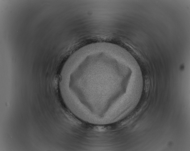 X0000094170613200711241531